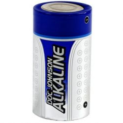 2 batterie alcaline c djs